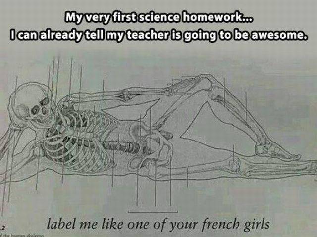 Daily Picdump Daily Picdump