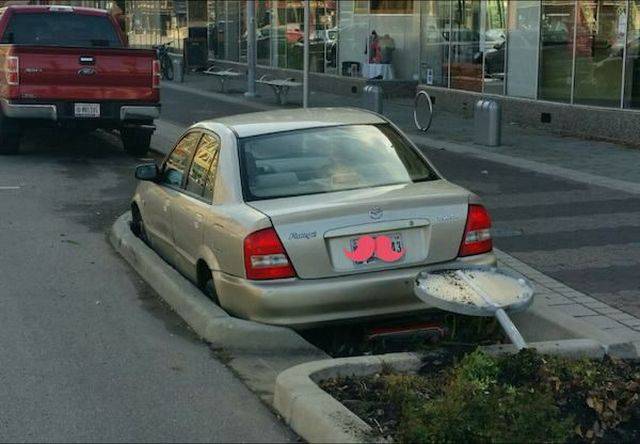 Daily Picdump Daily Picdump