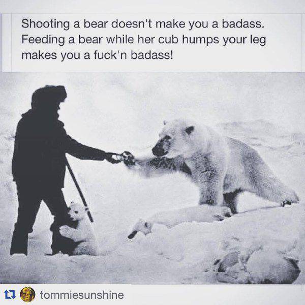 Daily Picdump Daily Picdump