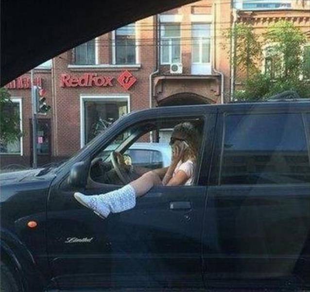Daily Picdump Daily Picdump