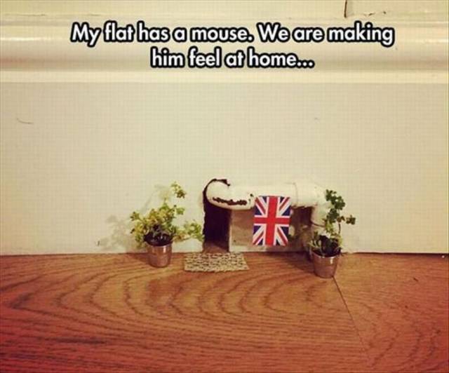 Daily Picdump Daily Picdump