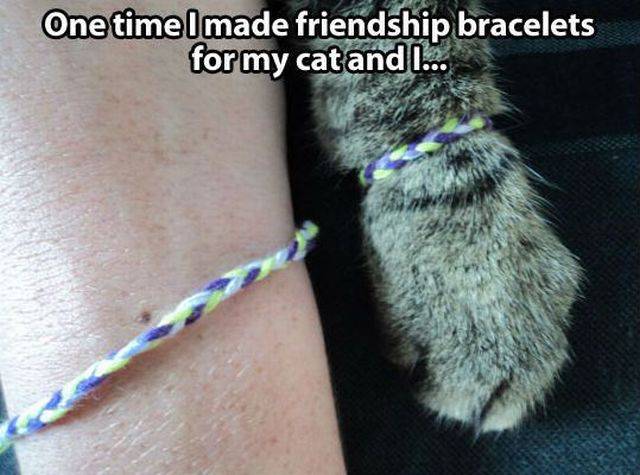 Daily Picdump Daily Picdump