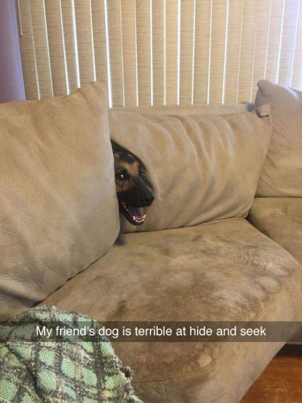 Daily Picdump Daily Picdump
