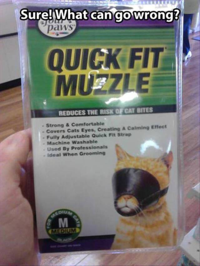 Daily Picdump Daily Picdump