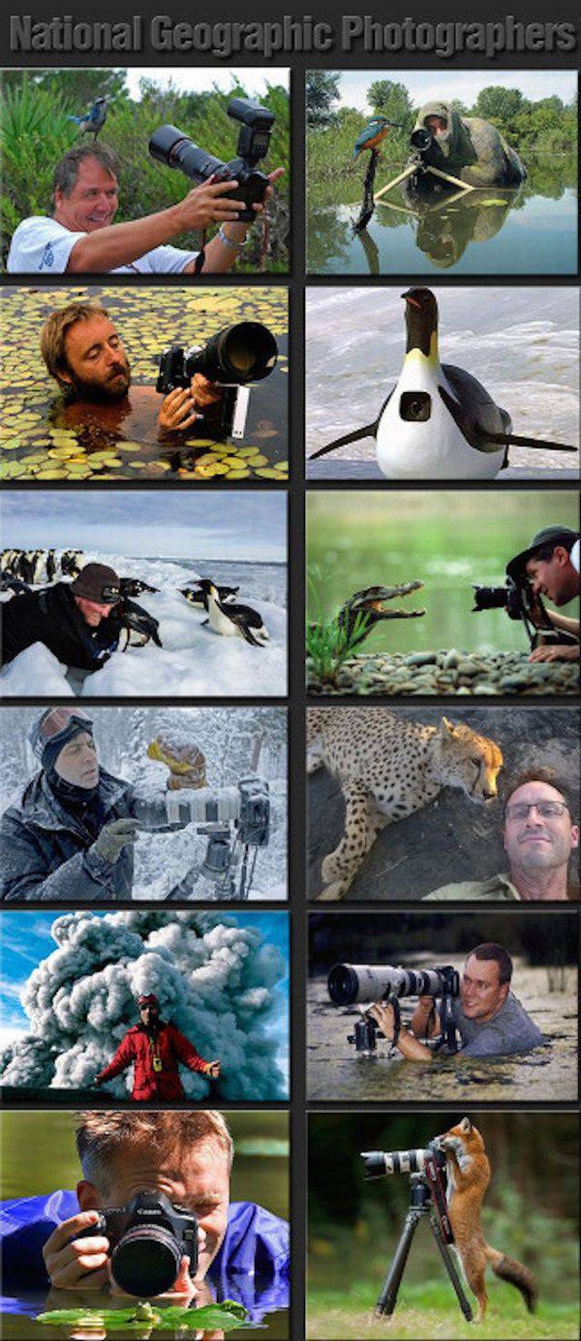 Daily Picdump Daily Picdump