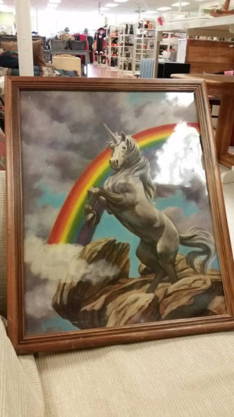 Awesome Thrift Shop Finds That Are a Little on the Weird Side