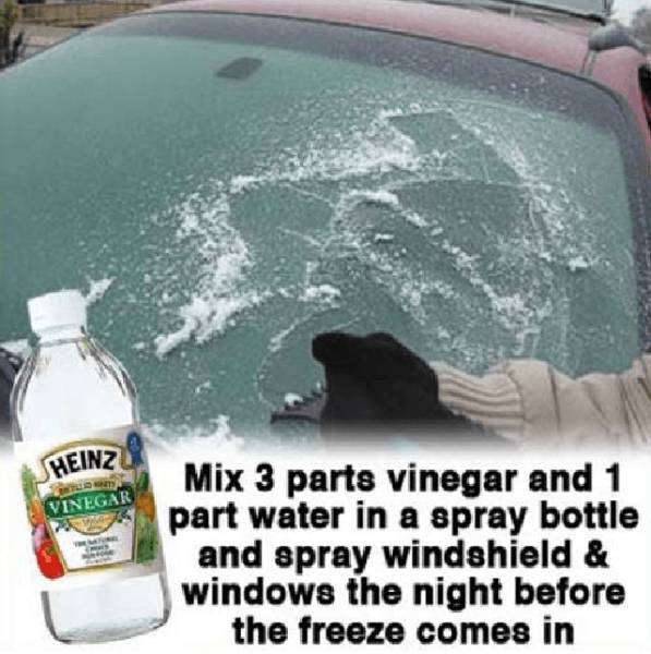 Useful Tricks and Tips for Surviving Winter