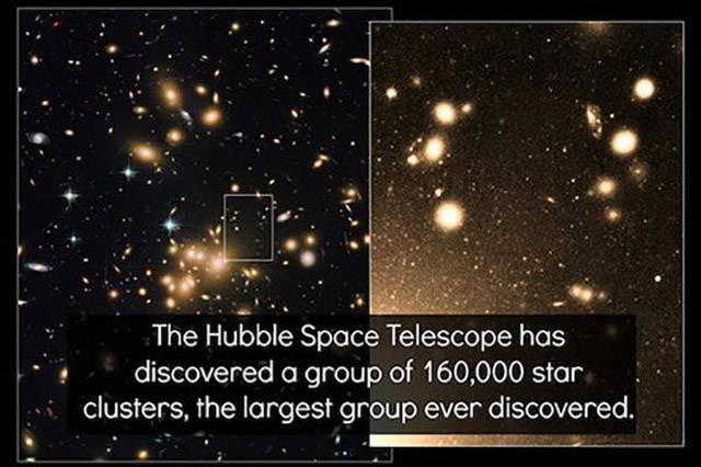 Geeky Facts That Will Appeal to Your Hidden Nerdy Nature