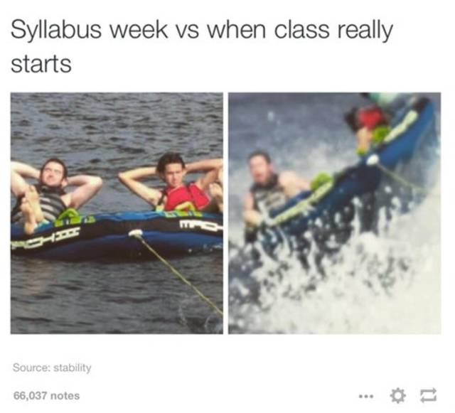 Tumblr Posts That Sum Up School Life Perfectly