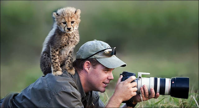 Fascinating Photos of Wildlife Photographers on the Job