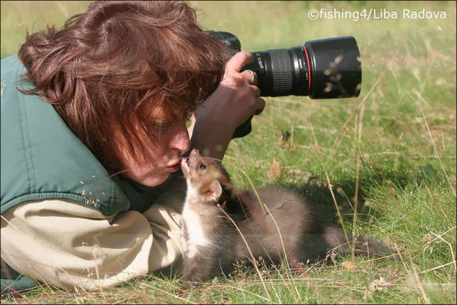 Fascinating Photos of Wildlife Photographers on the Job