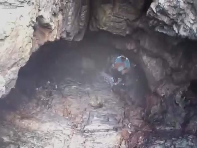 Dude Stumbles Across Some Bugs While Exploring a Cave