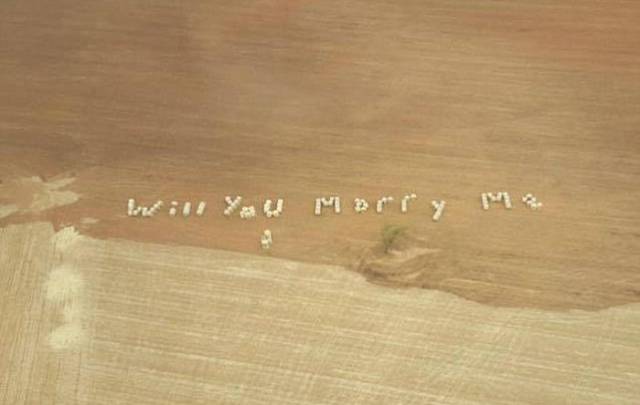 A Romantic and Creative Hay Bale and Helicopter Marriage Proposal