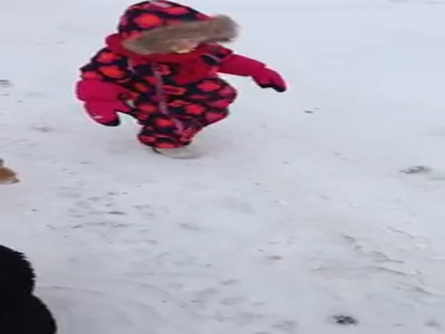 Adorable Toddler Gets Taken Down by a Cat