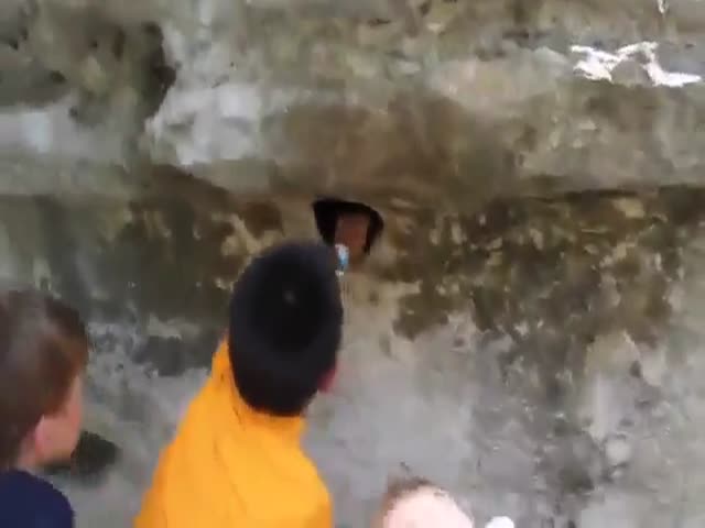 Would You Stick Your Hand Into That Hole?
