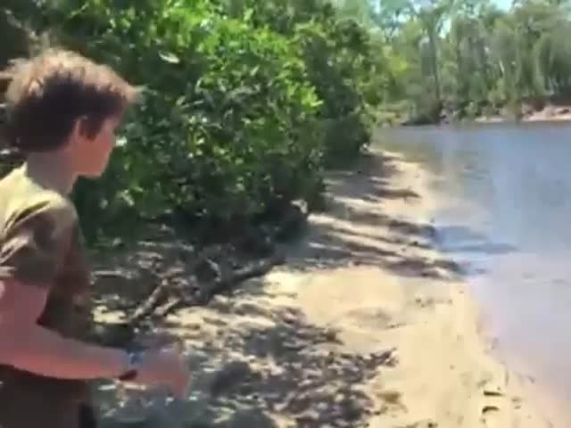 Young Steve Irwin Delivers 14 Baby Stingrays