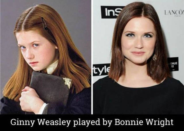A Fun Look at the Cast of “Harry Potter” Then and Now