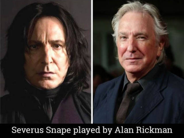 A Fun Look at the Cast of “Harry Potter” Then and Now