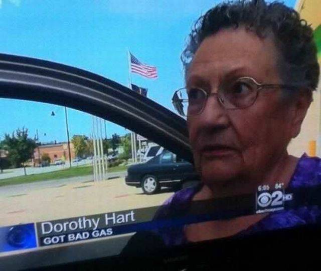 Daily Picdump Daily Picdump