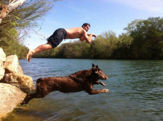 Daily Picdump Daily Picdump