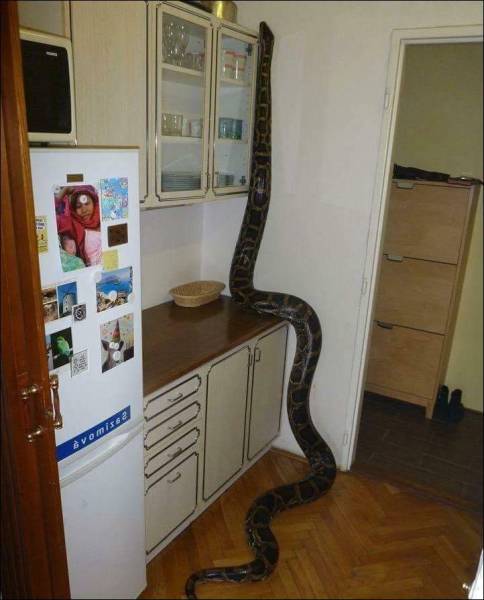Daily Picdump Daily Picdump