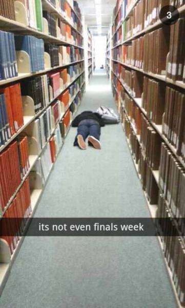 Daily Picdump Daily Picdump