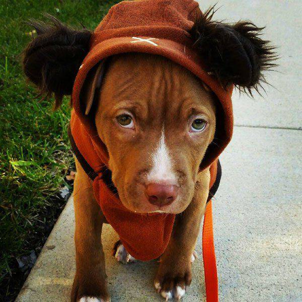 Daily Picdump Daily Picdump