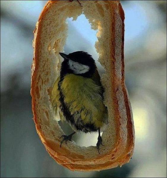 Daily Picdump Daily Picdump