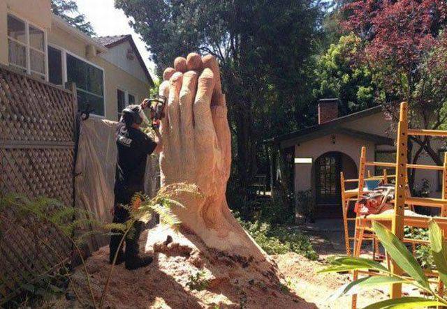Daily Picdump Daily Picdump