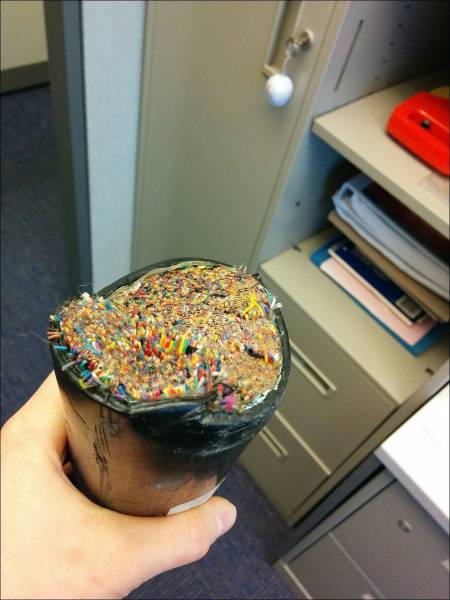 Daily Picdump Daily Picdump