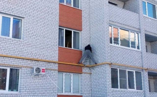 Daily Picdump Daily Picdump