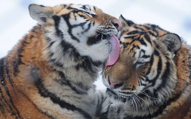 Daily Picdump Daily Picdump