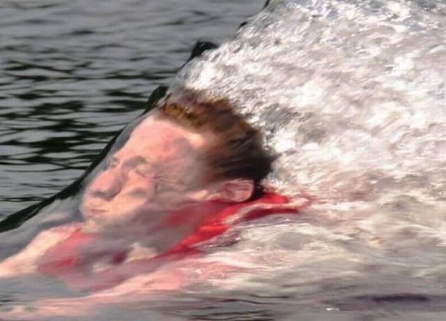 Daily Picdump Daily Picdump
