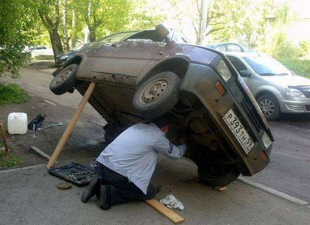 Daily Picdump Daily Picdump