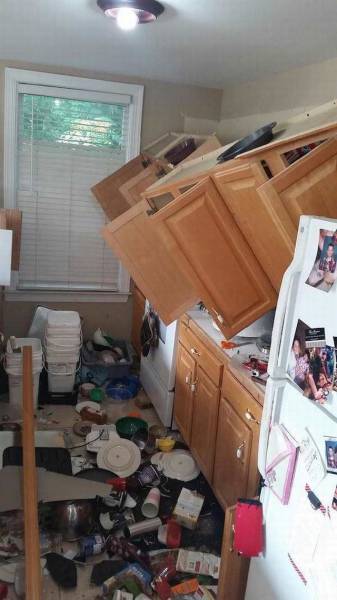 Daily Picdump Daily Picdump