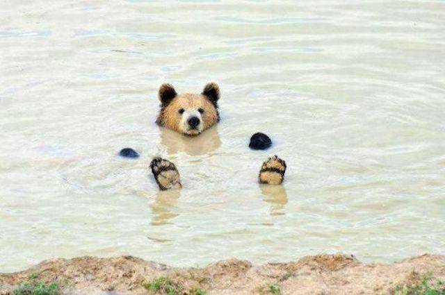 Daily Picdump Daily Picdump