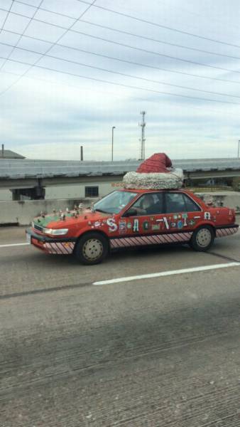 Daily Picdump Daily Picdump