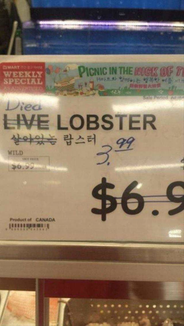 Daily Picdump Daily Picdump