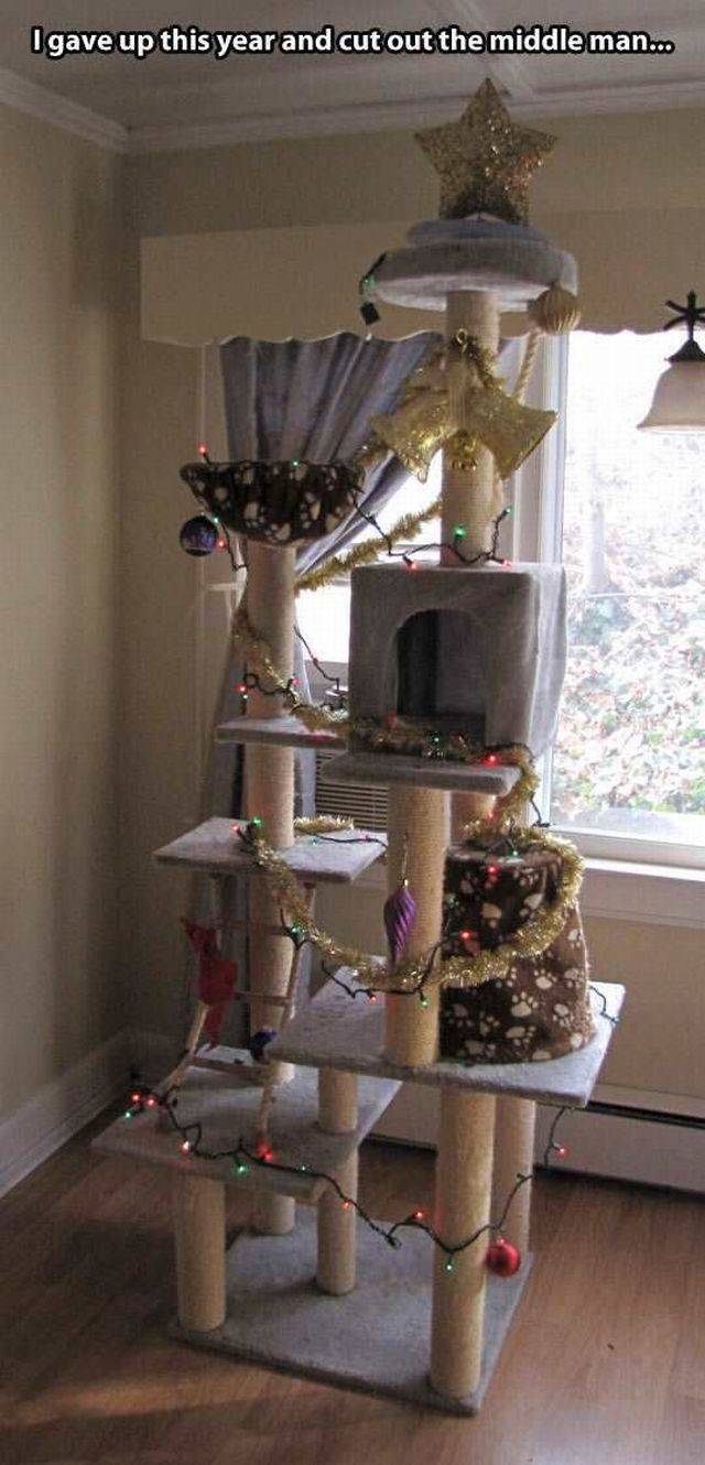Daily Picdump Daily Picdump