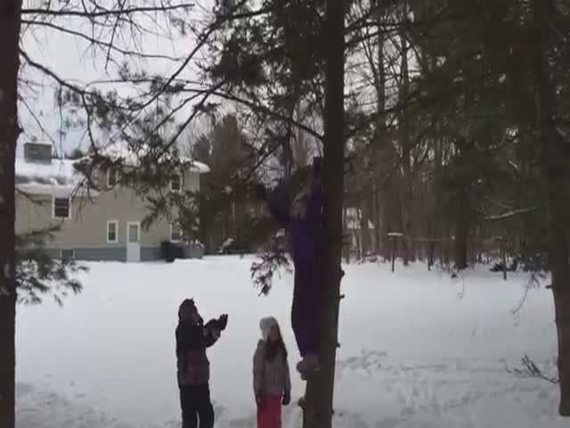 Hilarious Footage of Trees Fighting Back