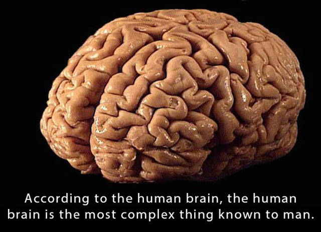 Facts That Will Boggle Your Brain