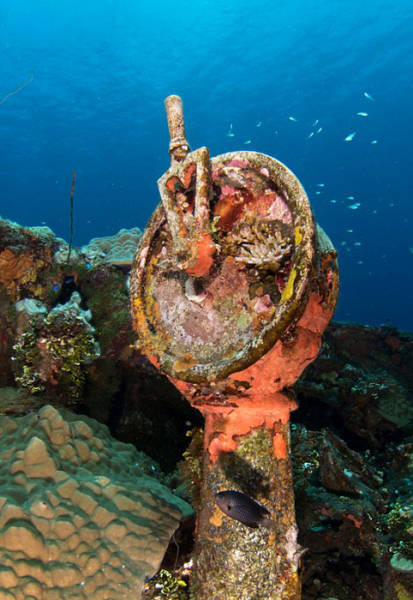 A Fascinating Tour around a Bombed Underwater Naval Base