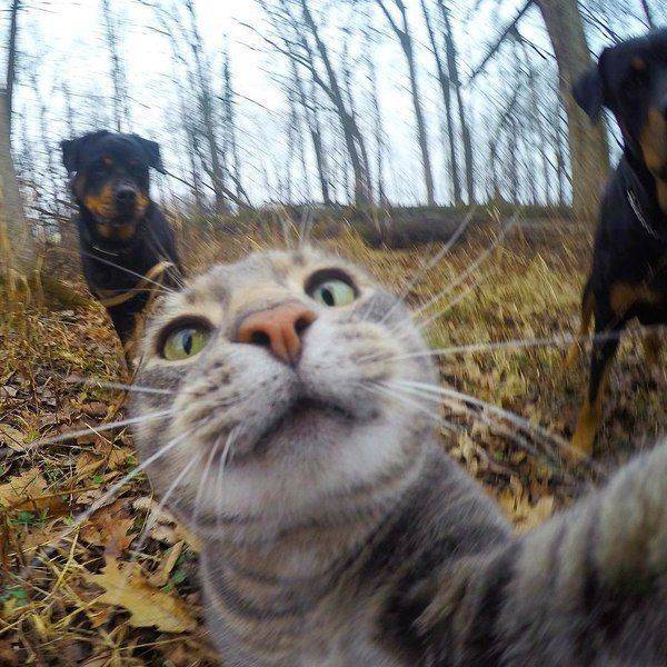 Daily Picdump Daily Picdump