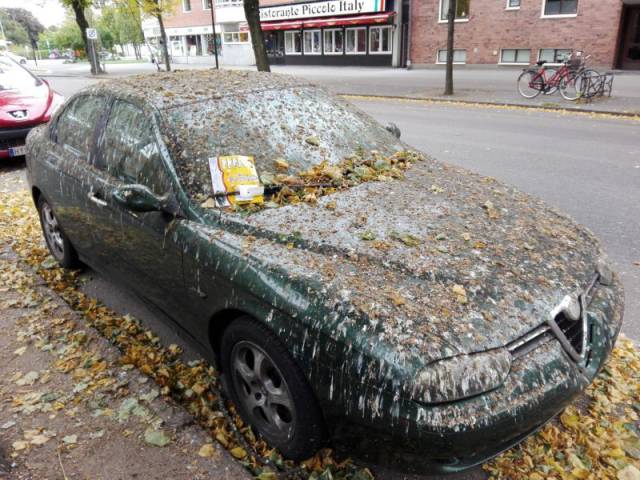 Daily Picdump Daily Picdump