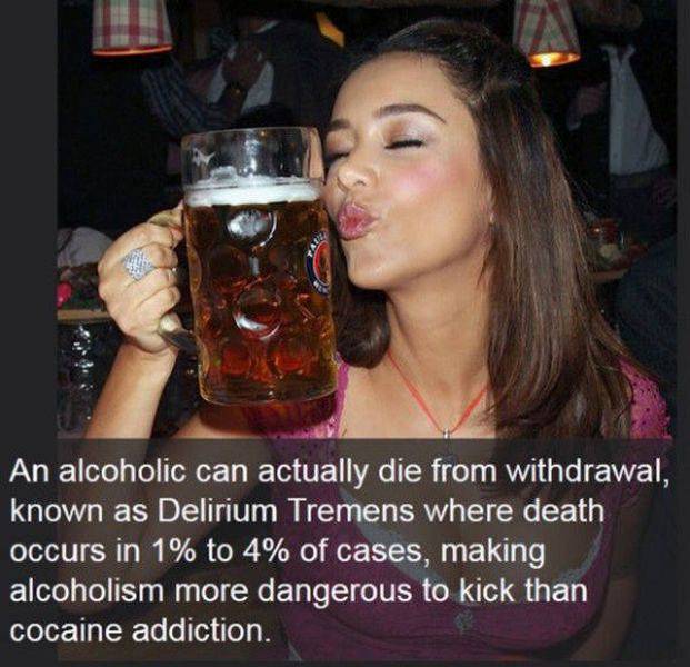 Daily Picdump Daily Picdump