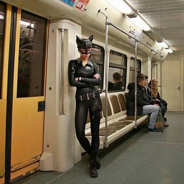 Daily Picdump Daily Picdump