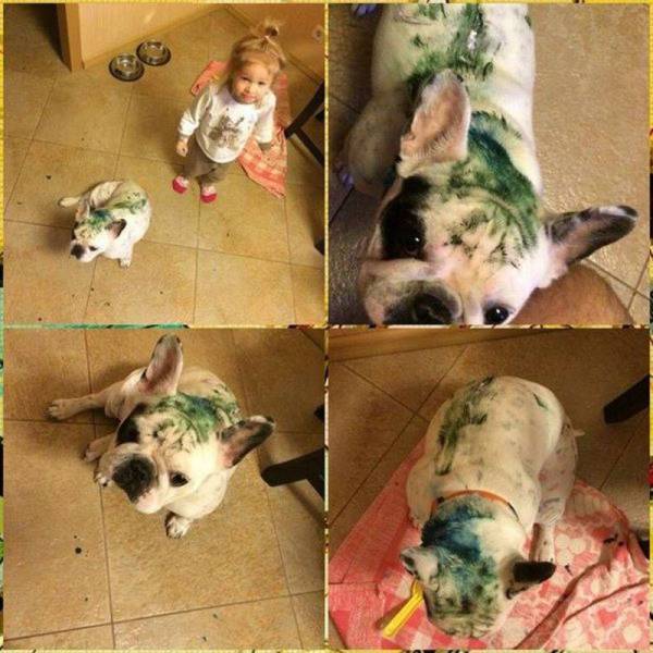 Daily Picdump Daily Picdump