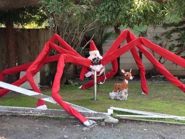 Daily Picdump Daily Picdump