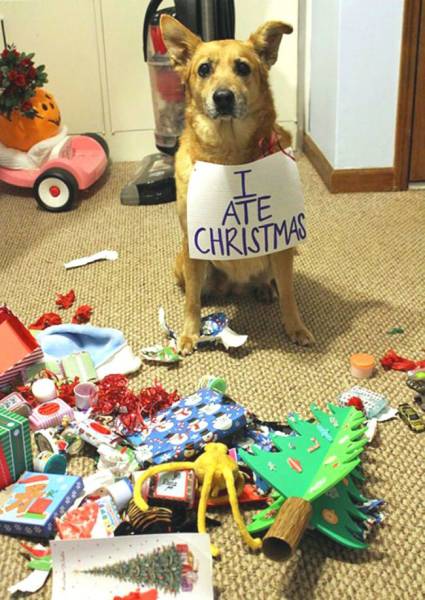 Daily Picdump Daily Picdump