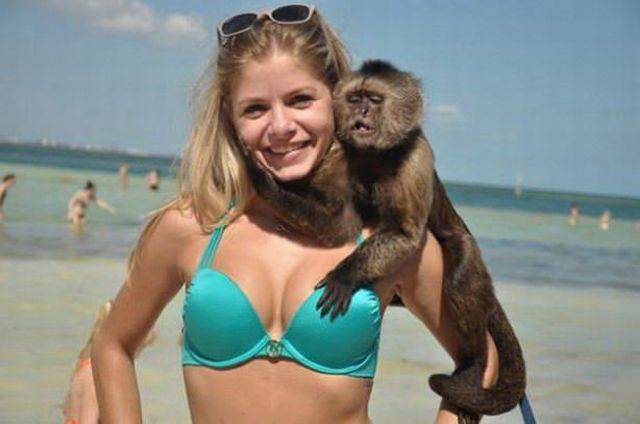 Daily Picdump Daily Picdump